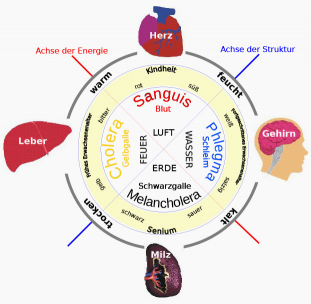 4-Saefte-Lehre.jpg